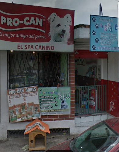 Opiniones de El Spa Canino en Quito - Peluquería