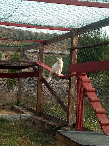 Tierheim Freyburg unter Freyburg, Sachsen-Anhalt