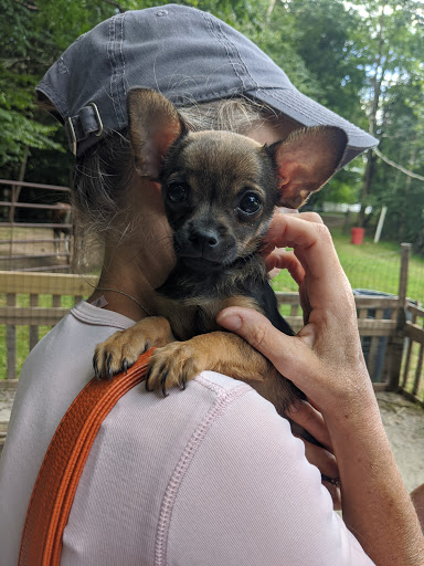 Zoo «The Petting Zoo at Breezeway Farm», reviews and photos, 161 Anawana Lake Road, Monticello, NY 12701, USA