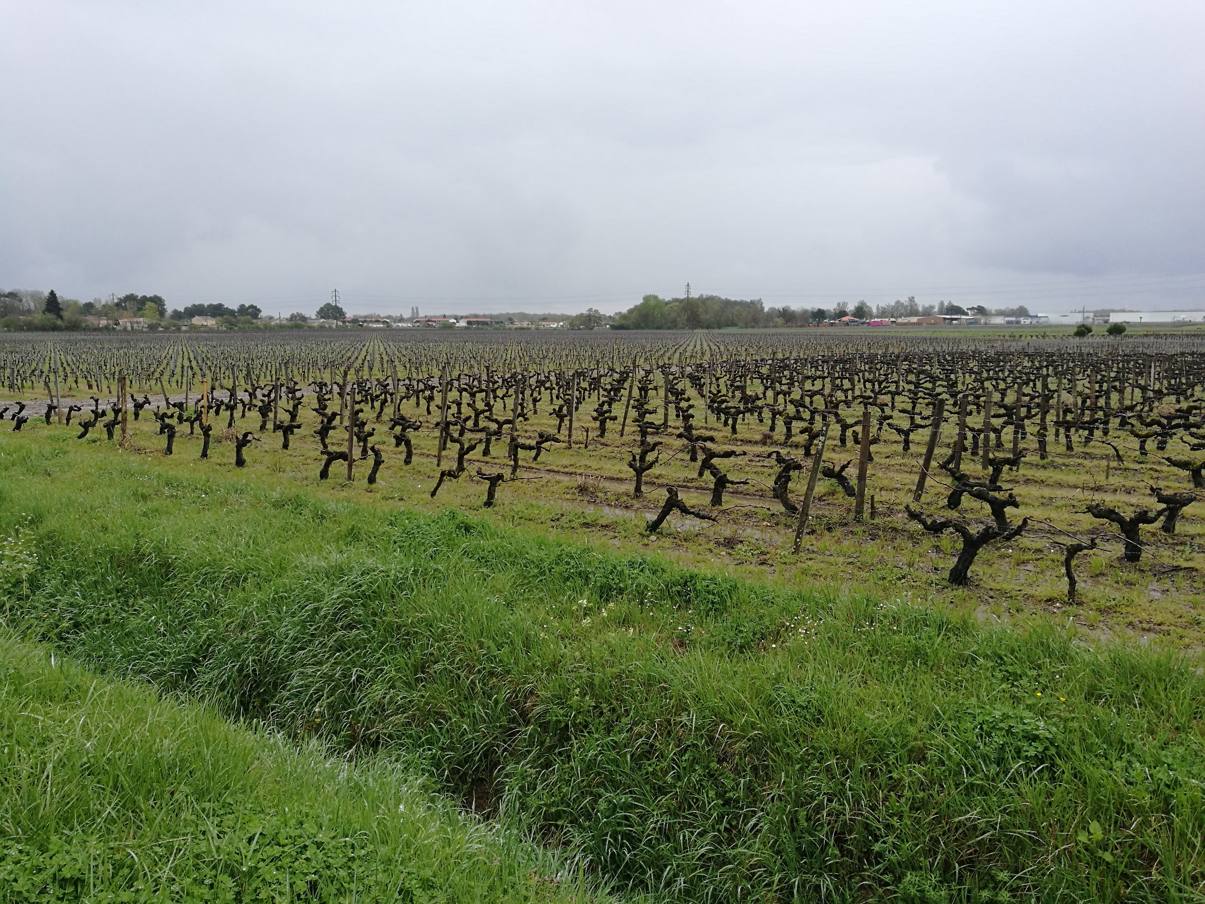 Photo n° 6 de l'avis de Jennifer.o fait le 20/04/2018 à 09:31