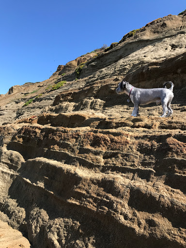 Park «Fort Funston», reviews and photos, Fort Funston Rd, San Francisco, CA 94132, USA