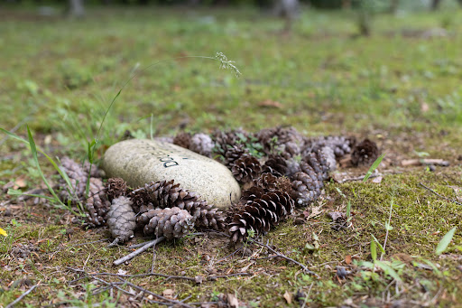 Cremation Service «Lasting Tributes Cremation and Funeral Care», reviews and photos, 814 Bestgate Rd, Annapolis, MD 21401, USA