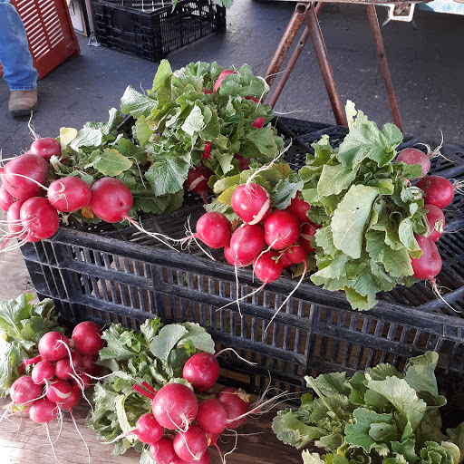 Grocery Store «Spencer Fresh Market», reviews and photos, 2650 Main St, Morro Bay, CA 93442, USA