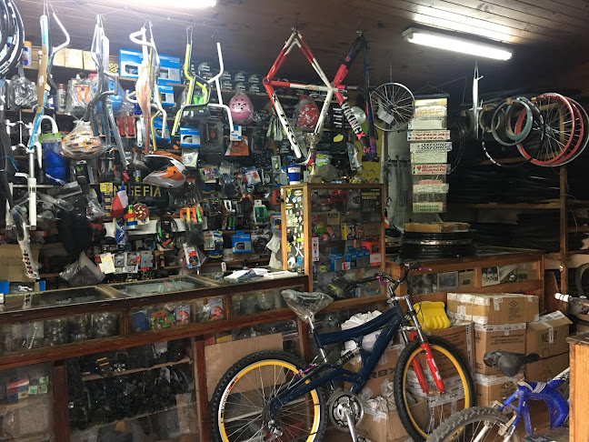 Opiniones de Cicles Don Memo en Casablanca - Tienda de bicicletas