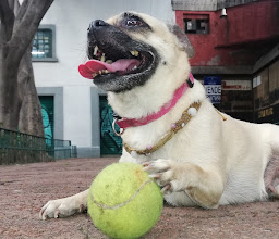 Capilla Plaza San Salvador el Seco photo