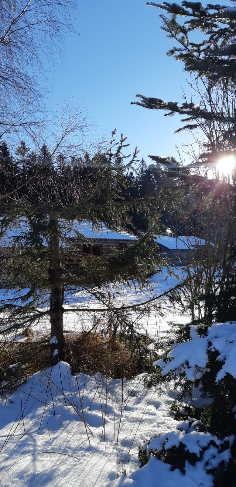 Photo n° 2 de l'avis de Bruno.V fait le 20/01/2022 à 15:17