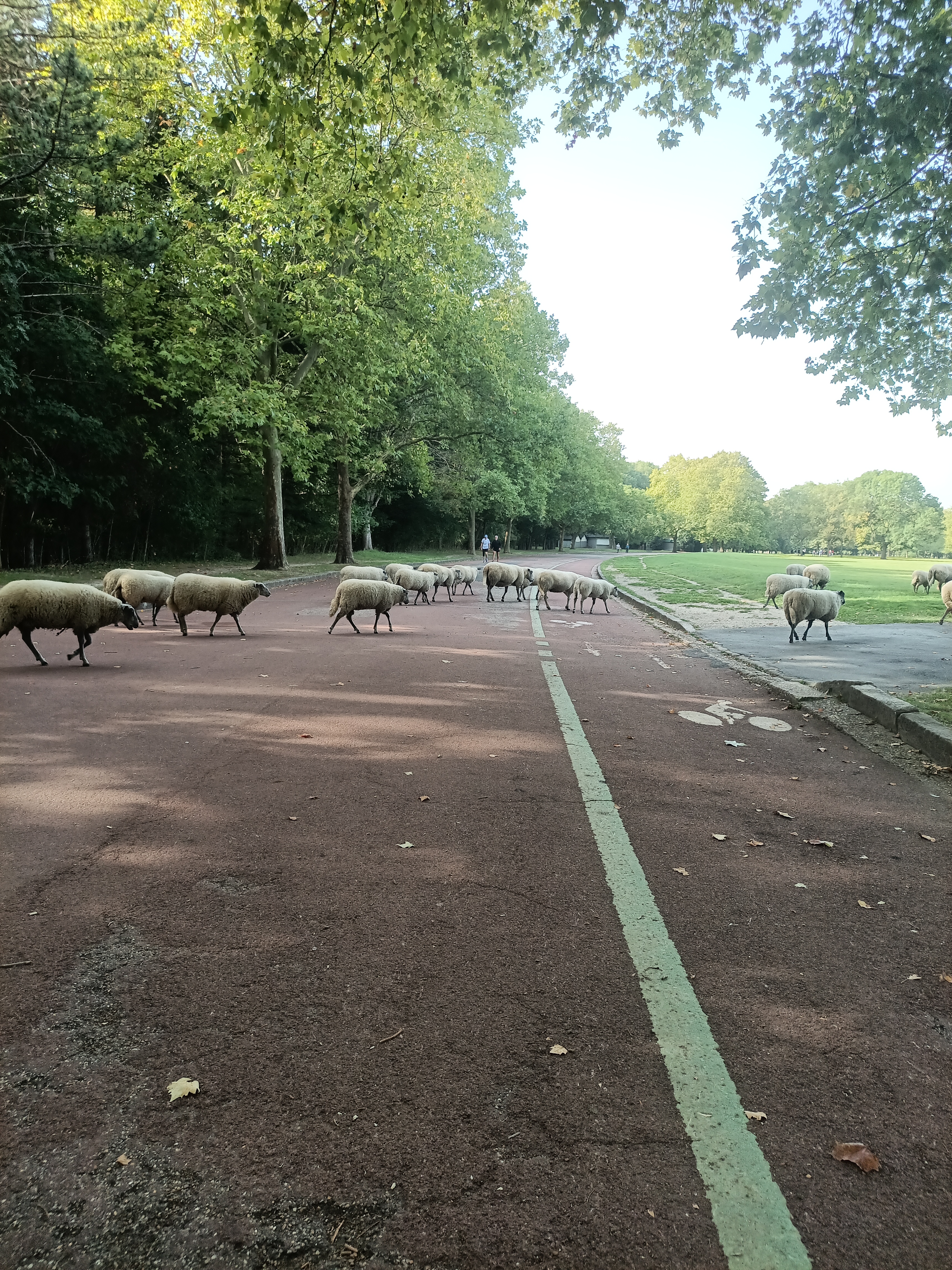 Photo n° 12 de l'avis de ini.e fait le 29/07/2023 à 12:14