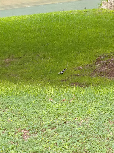 Raft Trip Outfitter «Little Ponderosa River Otfttrs», reviews and photos, 2001 Ponderosa Dr, New Braunfels, TX 78132, USA