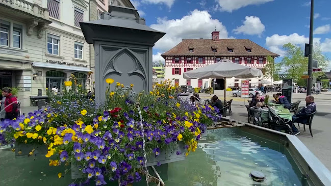 Interessengenossenschaft Altstadt Schaffhausen - Verband