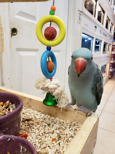 Pet Store «Fosters Exotic Pet Center», reviews and photos, 40116 US Hwy 19 N, Tarpon Springs, FL 34689, USA