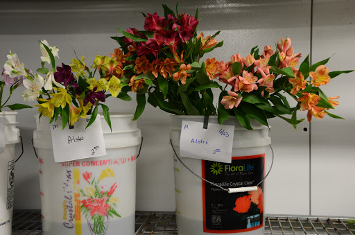 Florist «Bowden Flowers & Gifts», reviews and photos, 313 S 00 EW, Kokomo, IN 46902, USA