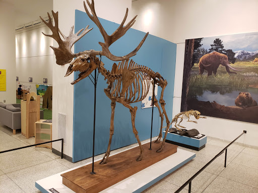 Museum «New Jersey State Museum», reviews and photos, 205 W State St, Trenton, NJ 08608, USA