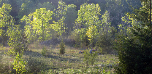 Nature Preserve «Fox Science Preserve», reviews and photos, 2280 Peters Rd, Ann Arbor, MI 48103, USA