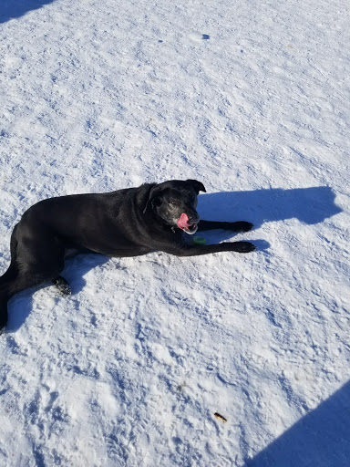 Dog Park «Stillwater MN Dog Park», reviews and photos, 148 Myrtlewood Ct, Stillwater, MN 55082, USA