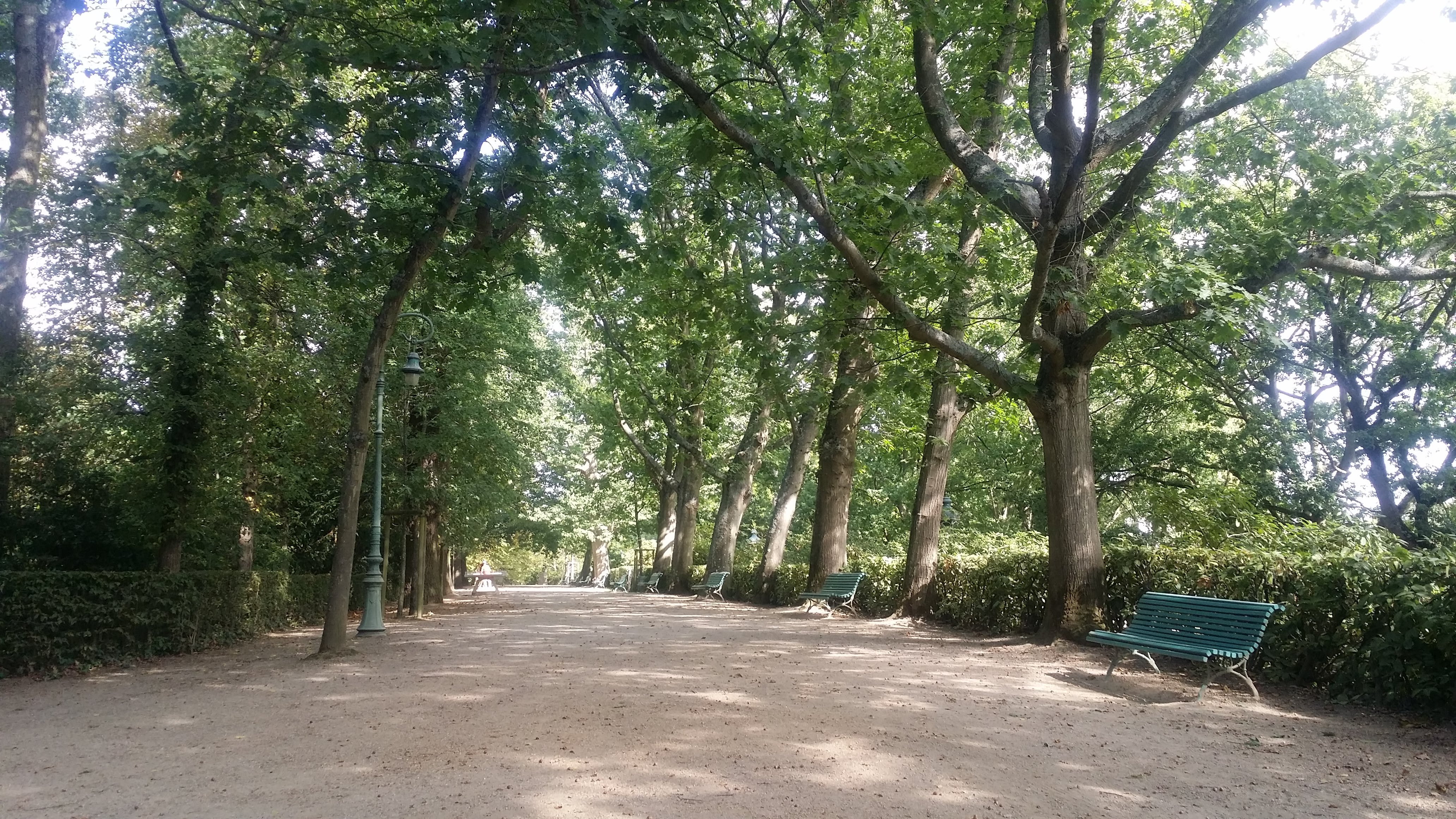 Photo n° 1 de l'avis de Alain.o fait le 24/03/2019 à 11:17