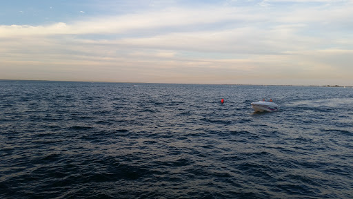 Marina «MacRay Harbor», reviews and photos, 30675 N River Rd, Harrison Charter Township, MI 48045, USA