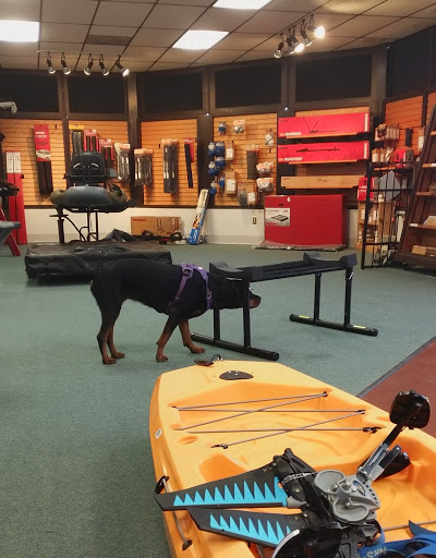 Outdoor Sports Store «Wild River Outfitters Inc», reviews and photos, 3636 Virginia Beach Blvd #108, Virginia Beach, VA 23452, USA