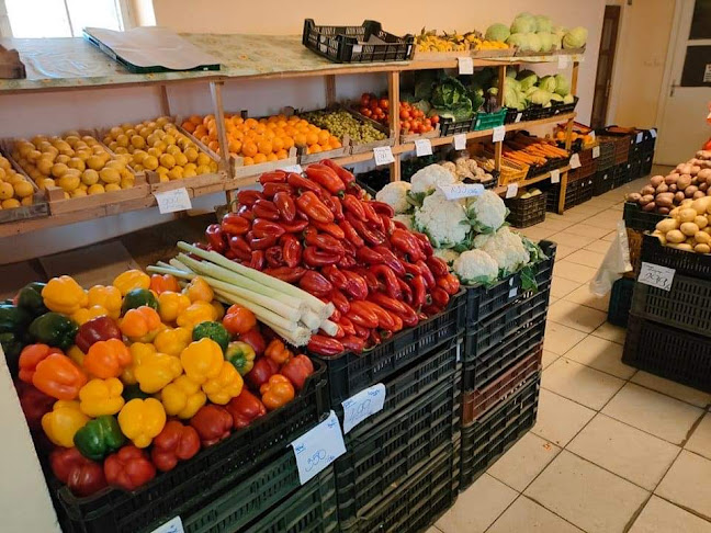 Zsigó-Zöldség/Gyümölcs Kis-és Nagykereskedelem