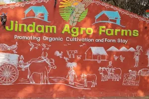 JINDAM AGRO FARMS image