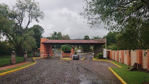 Fuente Lomas De Sta Anita