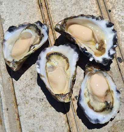Montague Oysters