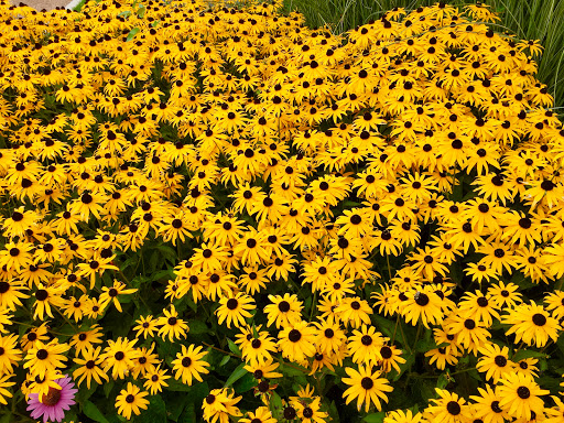 Golf Course «Glenview Park Golf Club», reviews and photos, 800 Shermer Rd, Glenview, IL 60026, USA