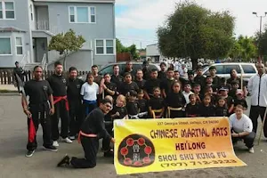 School of Chinese Martial Arts Hei Long - Shou Shu Kung Fu image