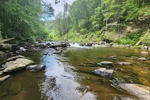 Cohutta Wilderness Trailheads image