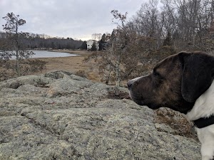 Weir River Estuary Park - photo 3