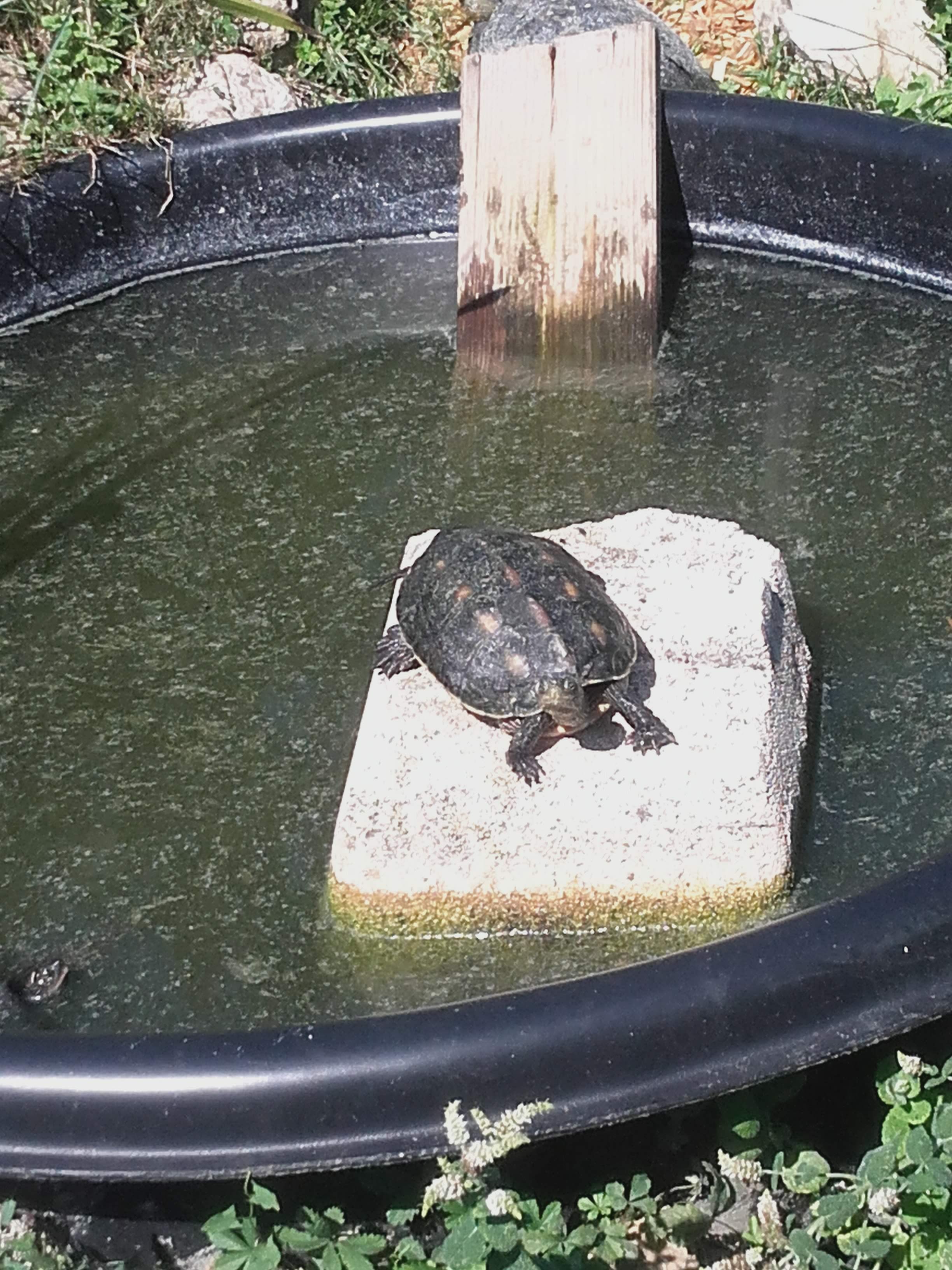 Photo n° 6 de l'avis de Sabrina.a fait le 24/08/2019 à 09:26