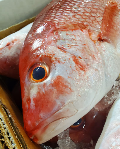 Seafood Market «Metropolitan Seafood & Gourmet», reviews and photos, 1320 US-22, Lebanon, NJ 08833, USA