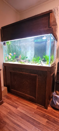 Tropical Fish Store «Glasscages.com LLC», reviews and photos, 1500 E Piney Rd, Dickson, TN 37055, USA