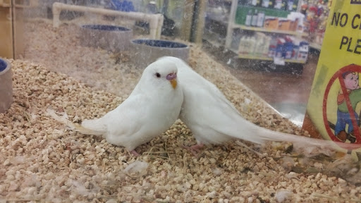 Pet Supply Store «Pet Supermarket», reviews and photos, 10291 Pines Blvd, Pembroke Pines, FL 33026, USA