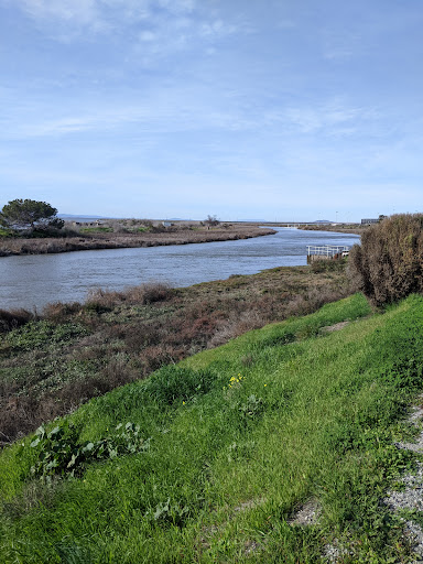 Park «Alviso Marina County Park», reviews and photos, 1195 Hope St, Alviso, CA 95002, USA