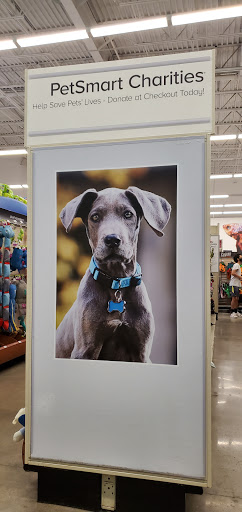 Pet Supply Store «PetSmart», reviews and photos, 19075 Interstate 45 S, Shenandoah, TX 77385, USA
