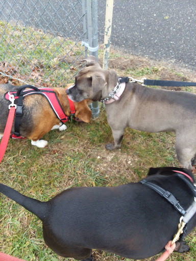 Park «Bruno Melini Park», reviews and photos, 616 Central Ave, Minotola, NJ 08341, USA