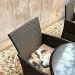 Photo n°1 de l'avis de Mario.a fait le 14/10/2023 à 21:17 sur le  Casa Boccassini à Venice