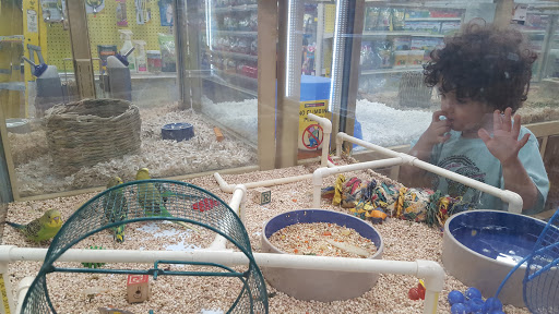 Pet Supply Store «Pet Supermarket», reviews and photos, 7822 Gall Blvd, Zephyrhills, FL 33541, USA