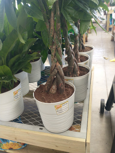 Home Improvement Store «The Home Depot», reviews and photos, 3373 Ronald McNair Way, Titusville, FL 32780, USA