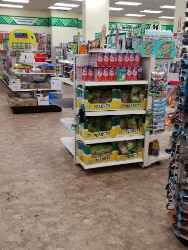 Dollar Store «Dollar Tree», reviews and photos, 1006 US-46, Clifton, NJ 07013, USA