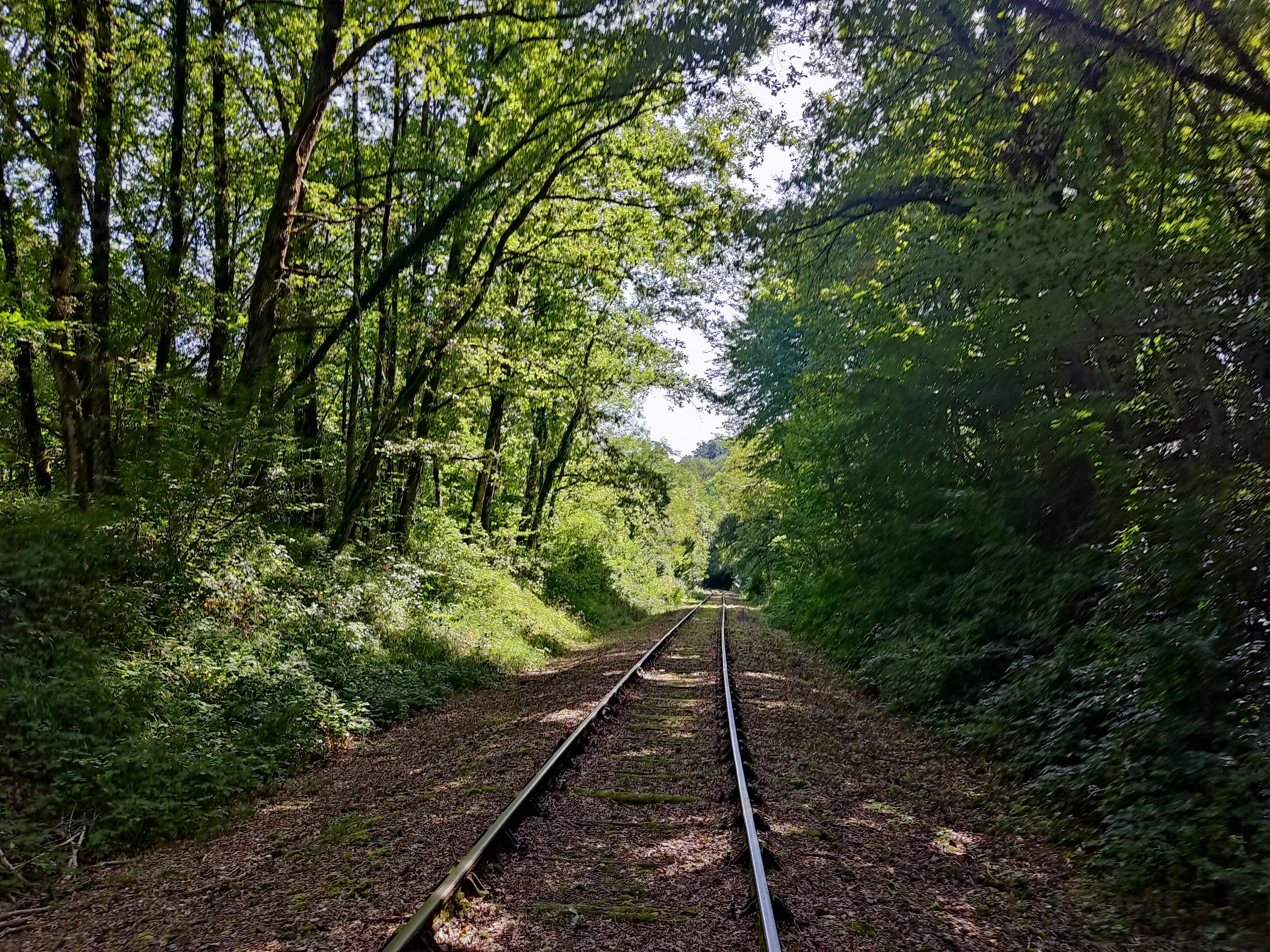Photo n° 1 de l'avis de Pierre.e fait le 24/08/2023 à 07:07