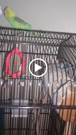 Pet Supply Store «PetSmart», reviews and photos, 10940 E Foothill Blvd, Rancho Cucamonga, CA 91730, USA