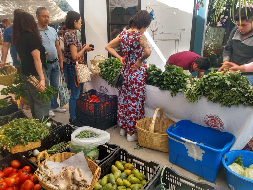 Tianguis Bosque de Agua Querétaro