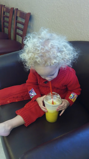 Family Restaurant «Boulevard Bistro», reviews and photos, 9576 N Citrus Springs Blvd, Citrus Springs, FL 34434, USA