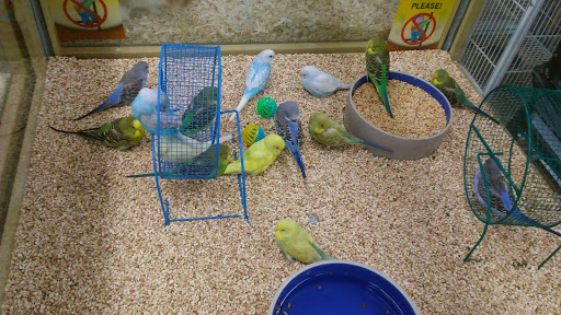 Pet Supply Store «Pet Supermarket», reviews and photos, 7822 Gall Blvd, Zephyrhills, FL 33541, USA