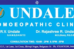 Dr Undale Homoeopathic Clinic image