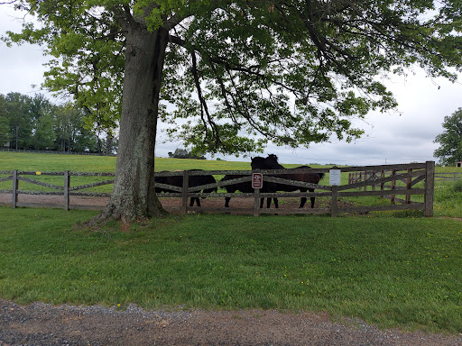 Tourist Attraction «The Underground Railroad Experience Trail», reviews and photos, 16501 Norwood Rd, Sandy Spring, MD 20860, USA