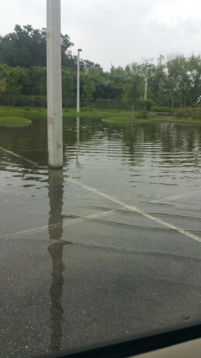 Discount Store «Dollar General», reviews and photos, 5635 FL-674, Wimauma, FL 33598, USA