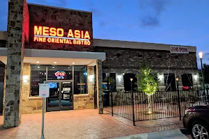 Meso Asia - Asian Fusion Cuisine image