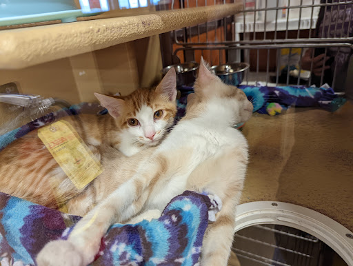 Pet Supply Store «PetSmart», reviews and photos, 8014 Old Carriage Ct, Shakopee, MN 55379, USA